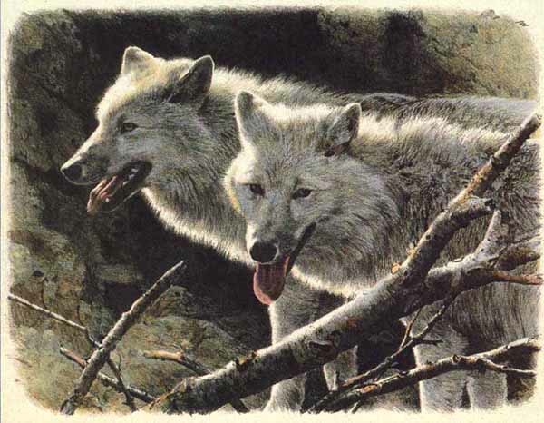 (image for) Handmade oil painting Copy paintings of famous artists Carl Brenders Paintings White Wolves
